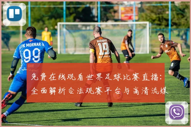 免费在线观看世界足球比赛直播：全面解析合法观赛平台与高清流媒体指南